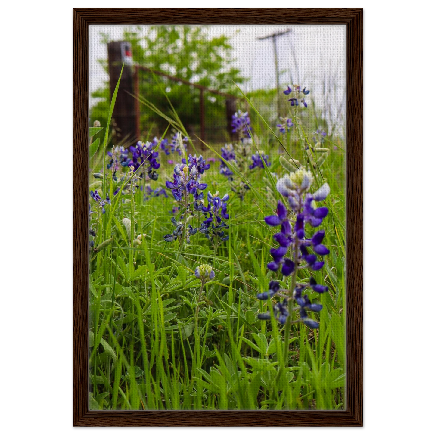 73b4061c-88ba-4de8-bb18-a3da0e6b0cb8