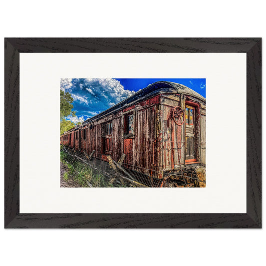 74cae79c-ac36-4376-a06f-c0097bc72724