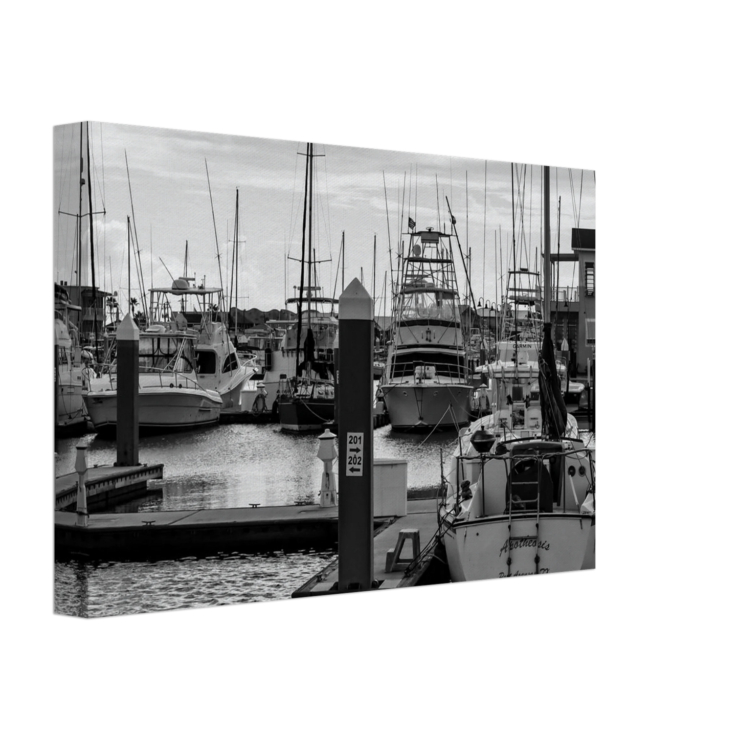 75ae9e01-0522-43f5-9488-aba77208bd78