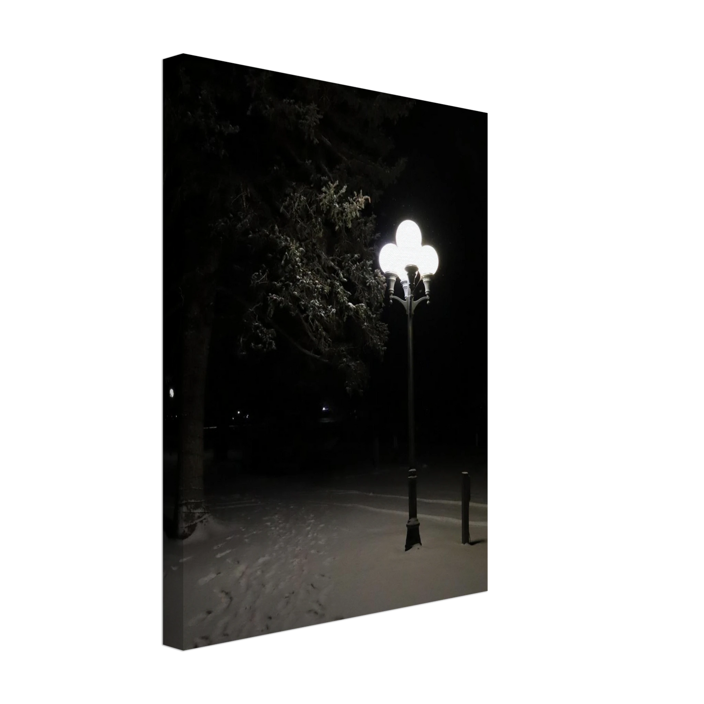 76a8b8ef-eb58-4da5-9141-c14bc8c451db