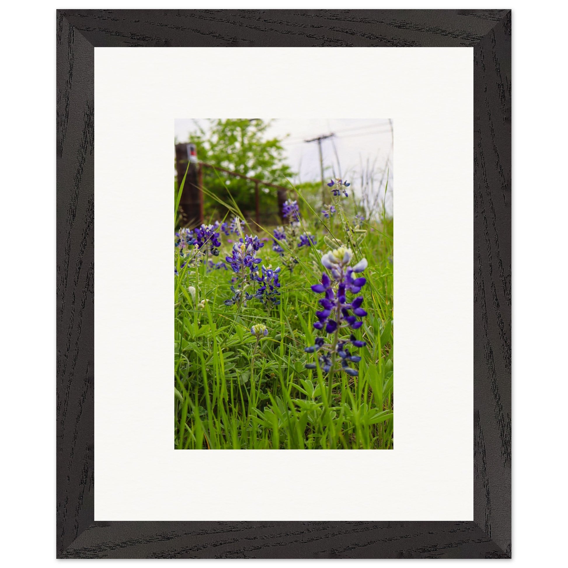 7948e39f-04f2-4cc6-8e89-026910a4640d