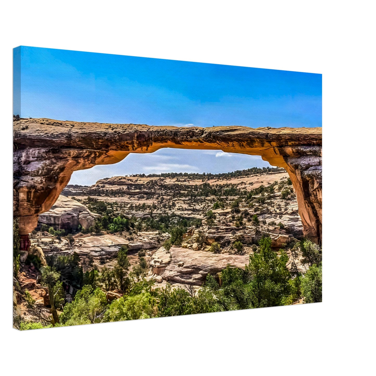 7964c850-21ad-4263-9b33-f25577c72b3d