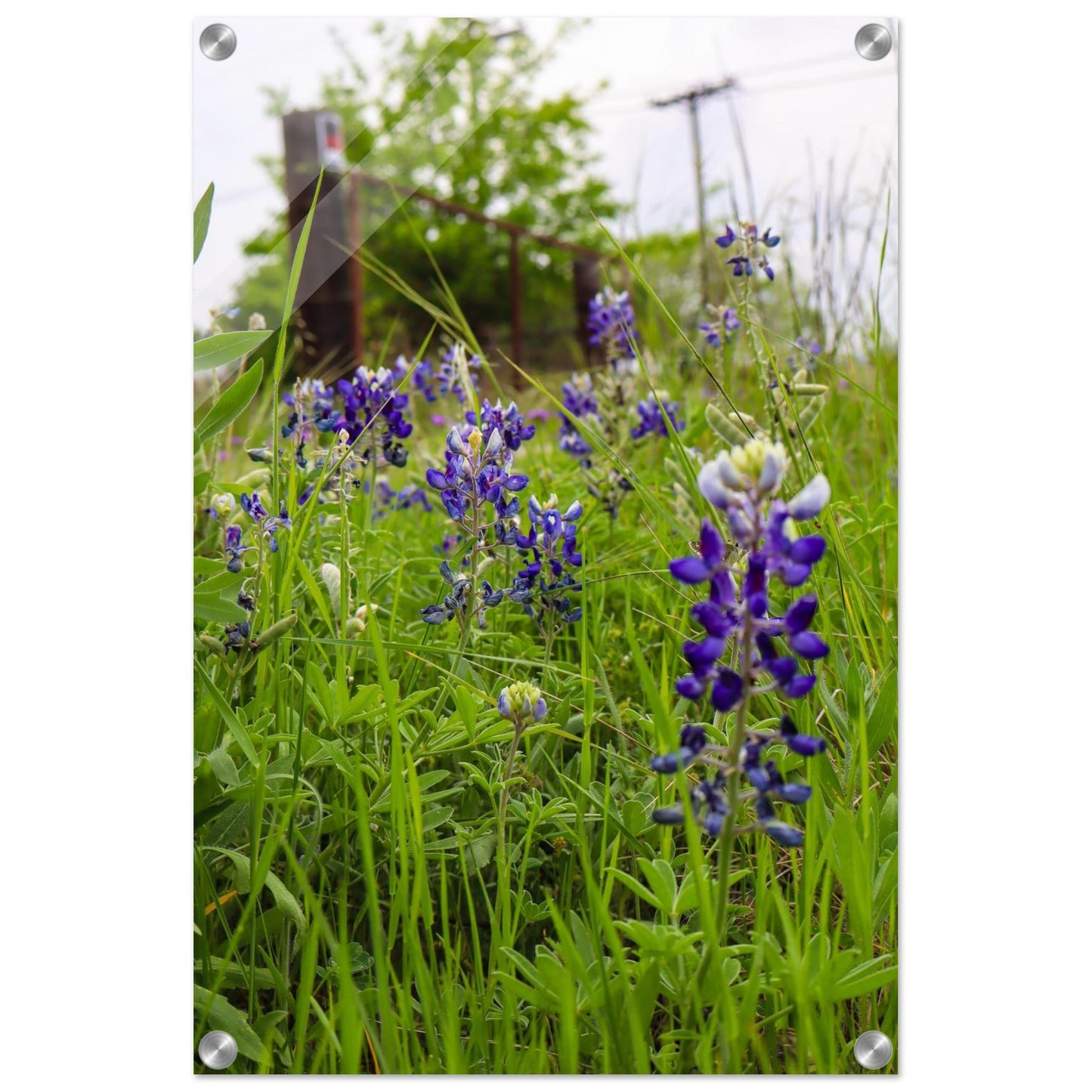 79c4ca76-2c5d-469c-928d-83c16ddd8928