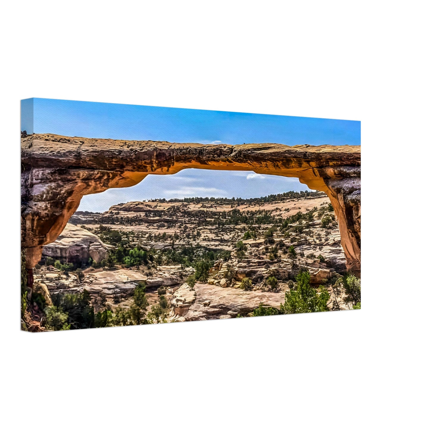 7a6f16dc-e36d-4fac-a3cc-cac34875cf5c