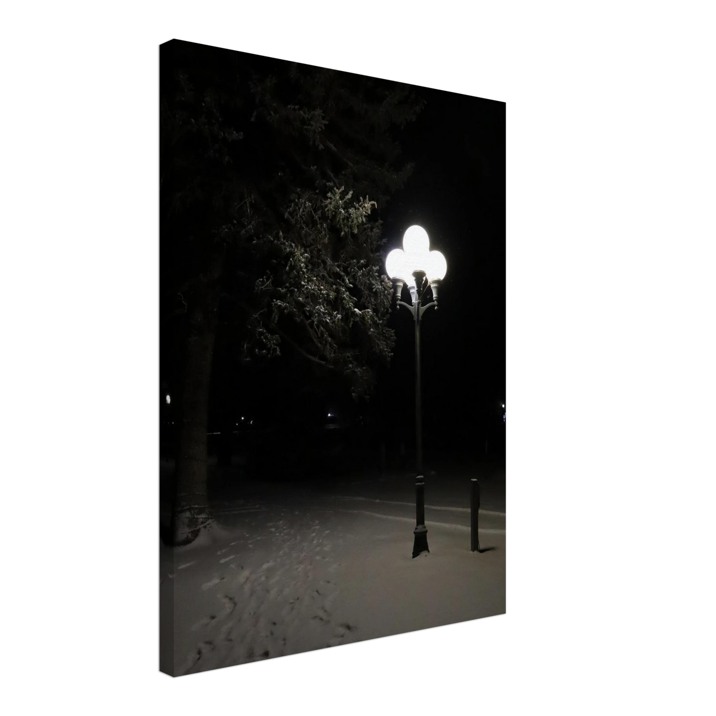 7b4c3876-d85e-49c6-a70f-275aaf566ed8