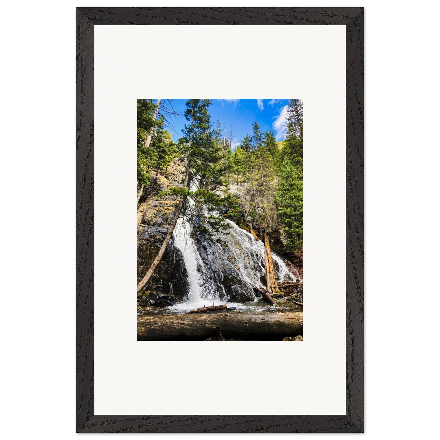 7ecb302e-1dcd-4955-81b5-7b017bf0e6b3