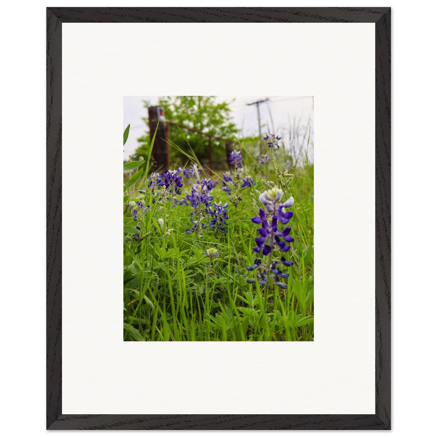 8152bded-4b1b-4efb-bfae-682d17a210e0