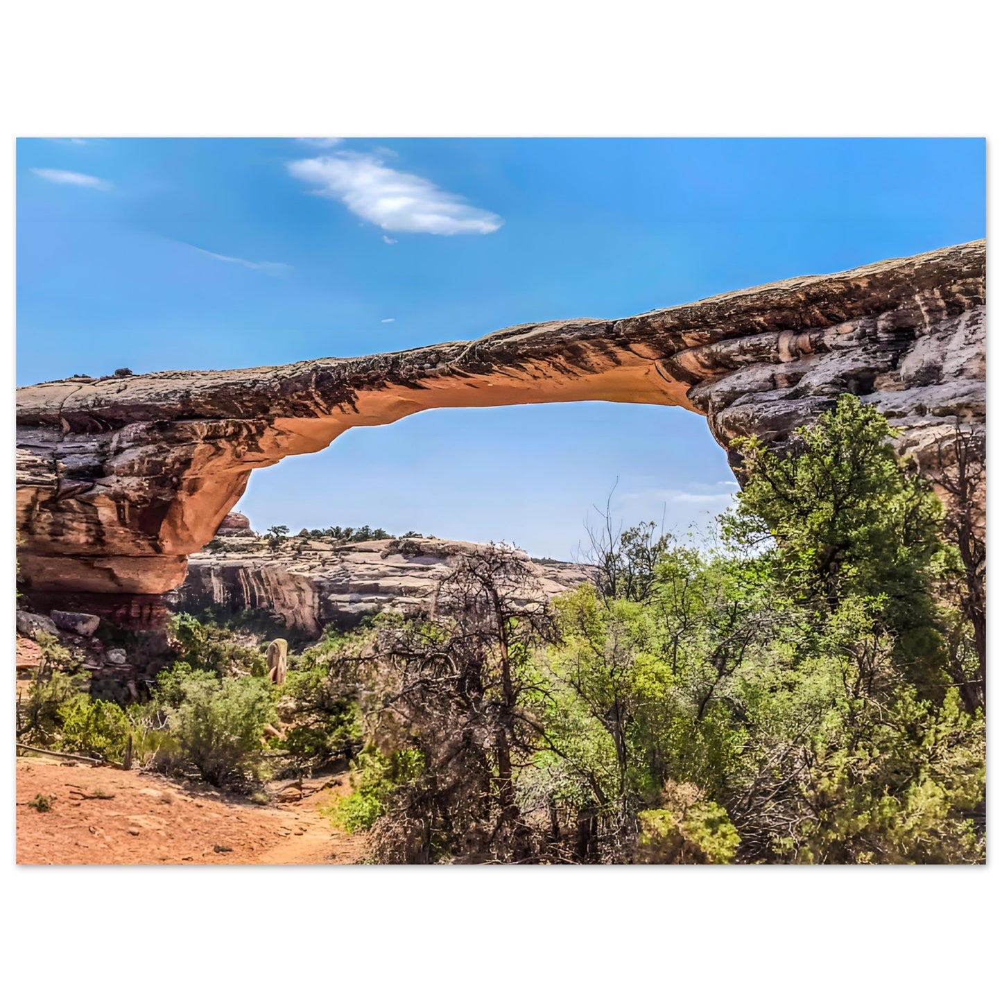 838753e7-f4c3-4492-9cda-18ec732b381e