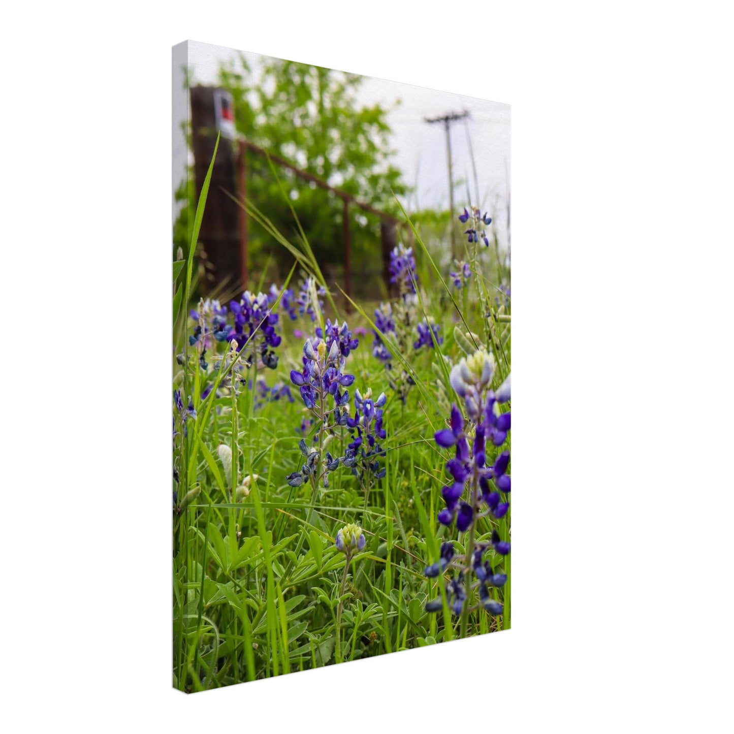 850293c6-42c9-4b83-8aa2-13a42cbe8213