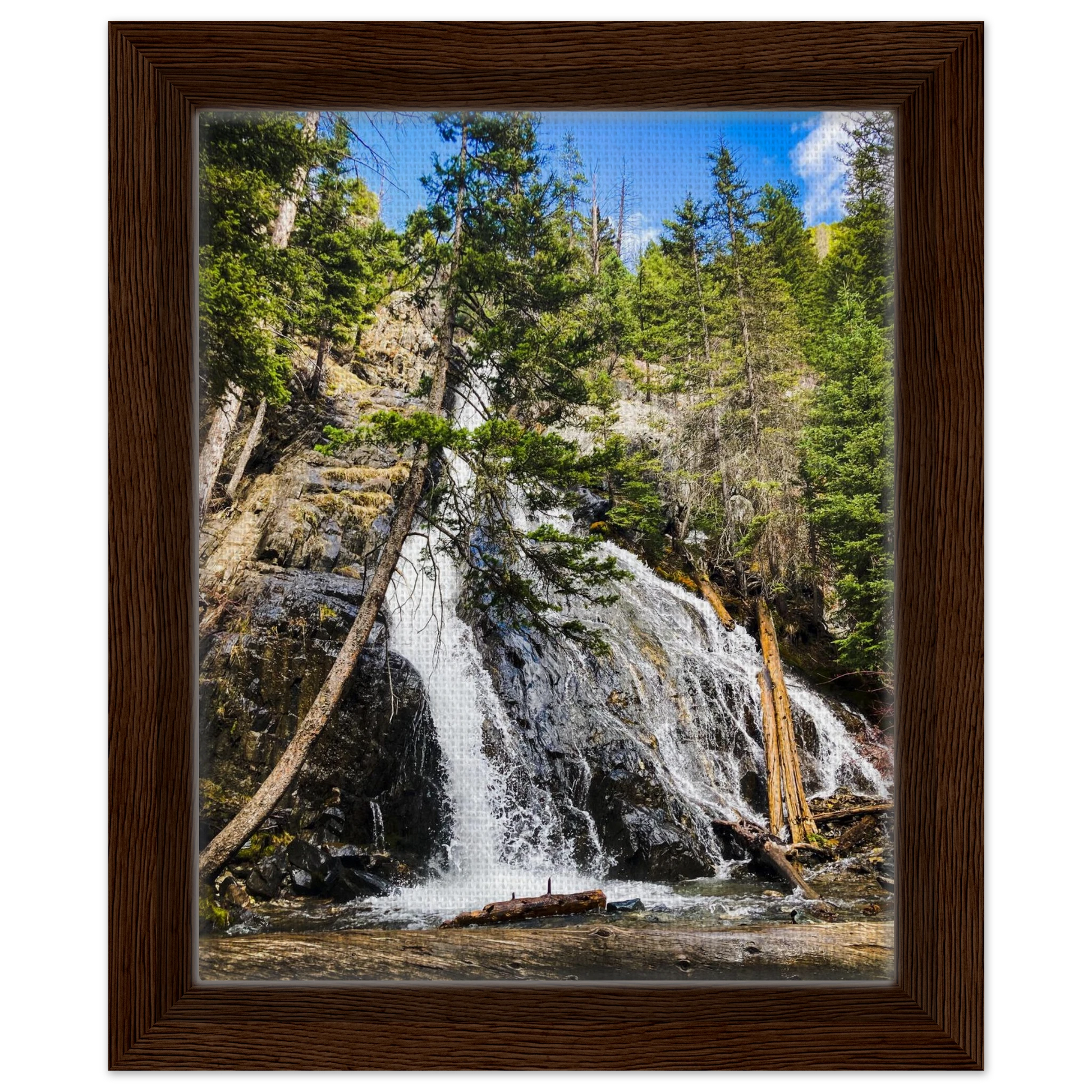 864e6929-e6d7-4a7a-9ab8-cdda0b59f47b