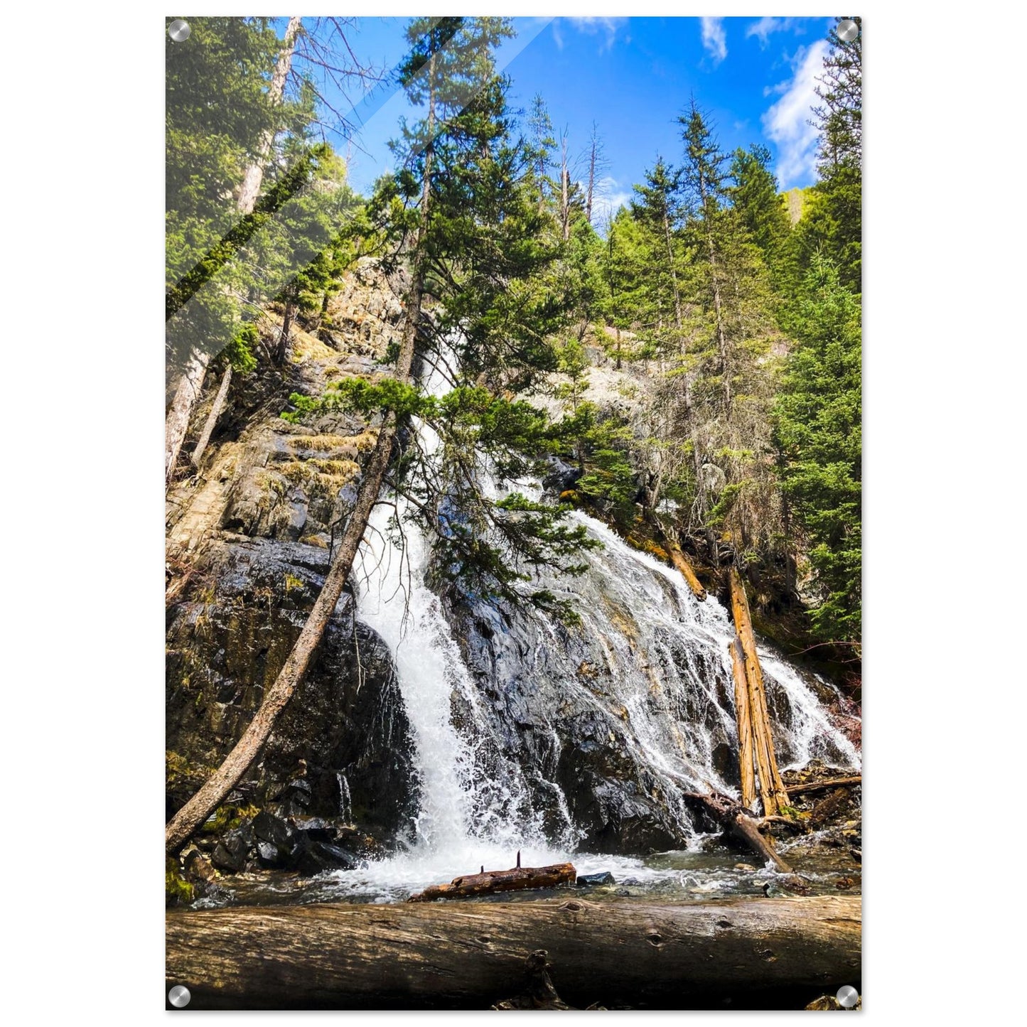 8a7afc00-305d-4fd3-b4bc-2d477e221ce9