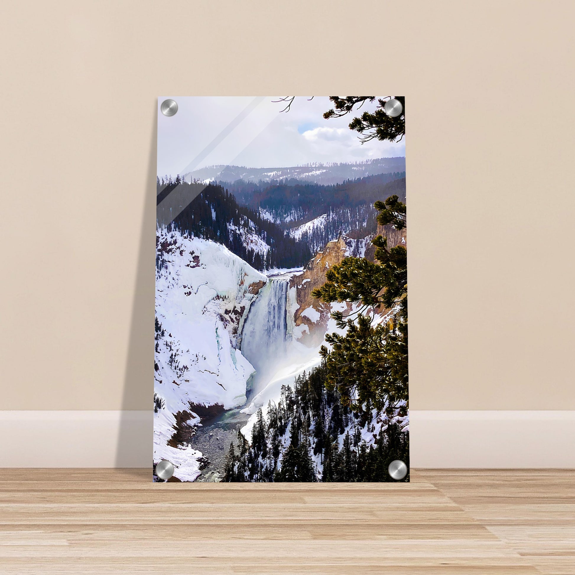 8a86df58-704d-45d3-9c3a-05512f52bfa6