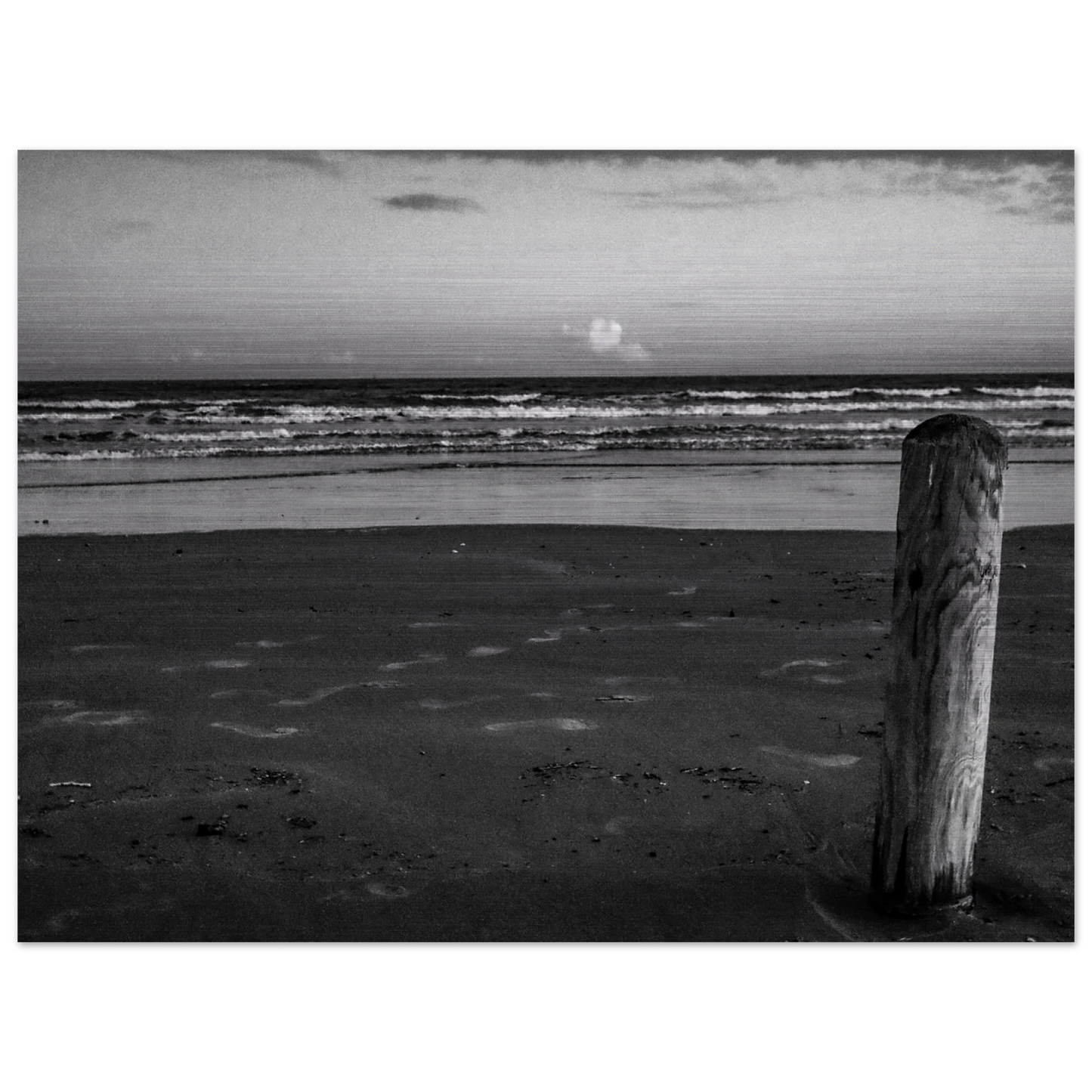 8ad98e9d-344c-4ff3-8896-f1118ff2284d