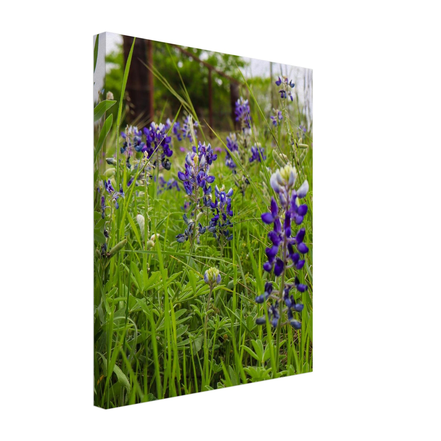 8bb5bc92-eb1b-4ba1-8e40-5f789e543494