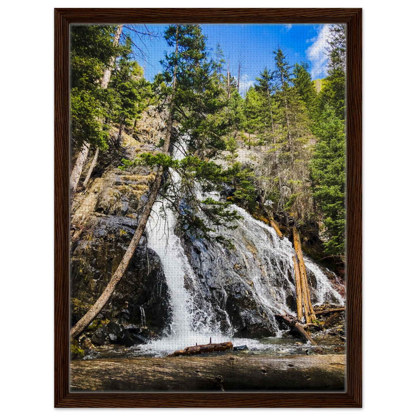 8c7ae3b4-5d4a-4882-b2bf-48018690278f