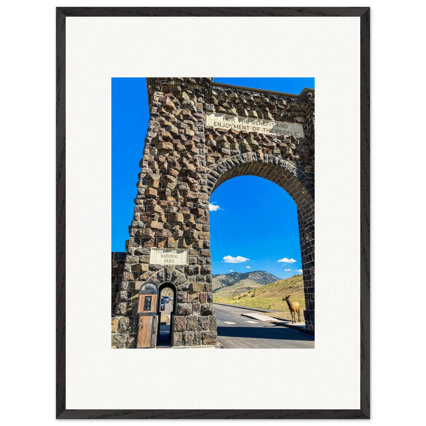 8c91b7c6-84a9-4ea4-a4f4-f2dbe5787333