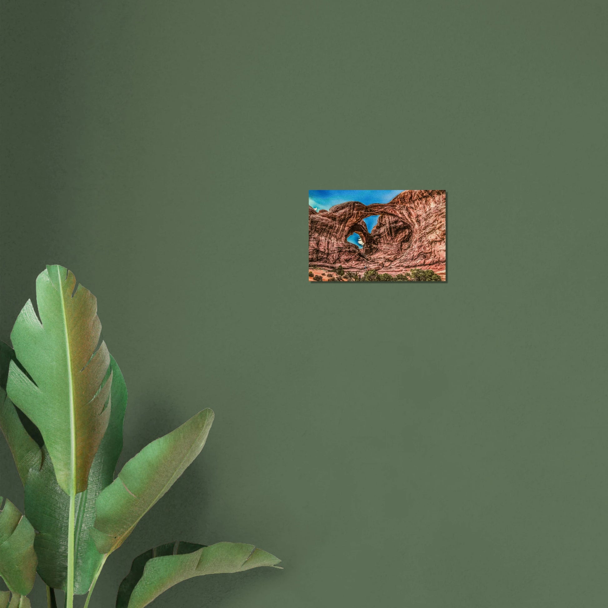 8d2a880f-0d05-449d-aa69-e29683e126c4