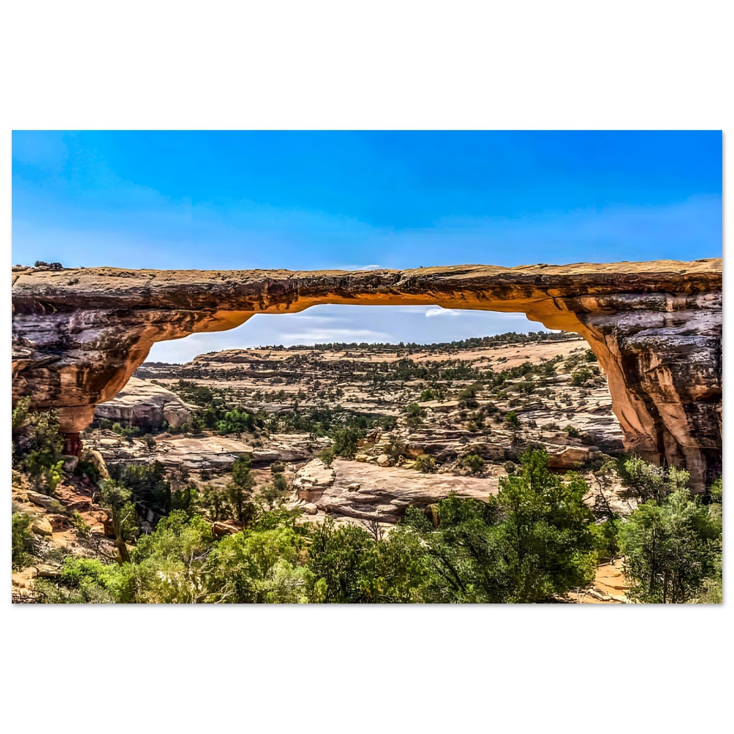 8decbd5b-94d9-4c0e-bada-228f44ad8aa6