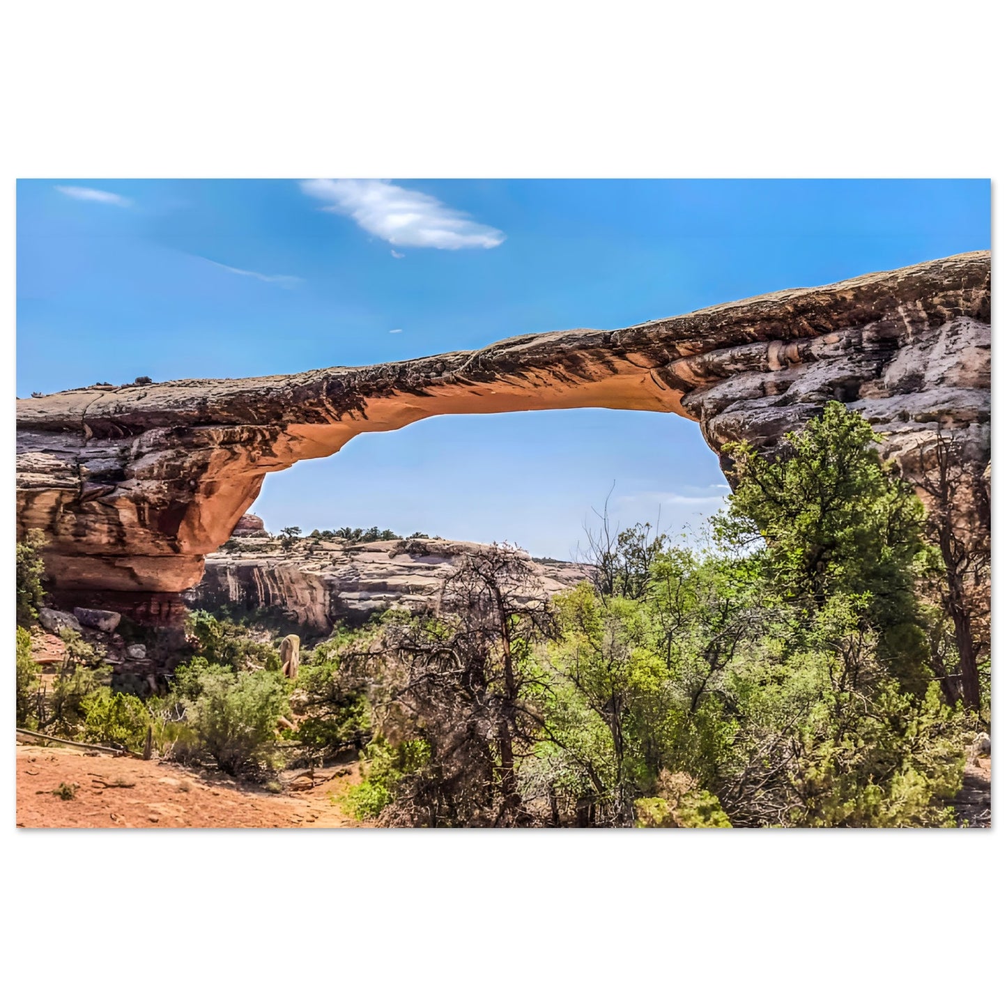 8ff025c3-e0fd-43f3-b3db-56ada2b4d543