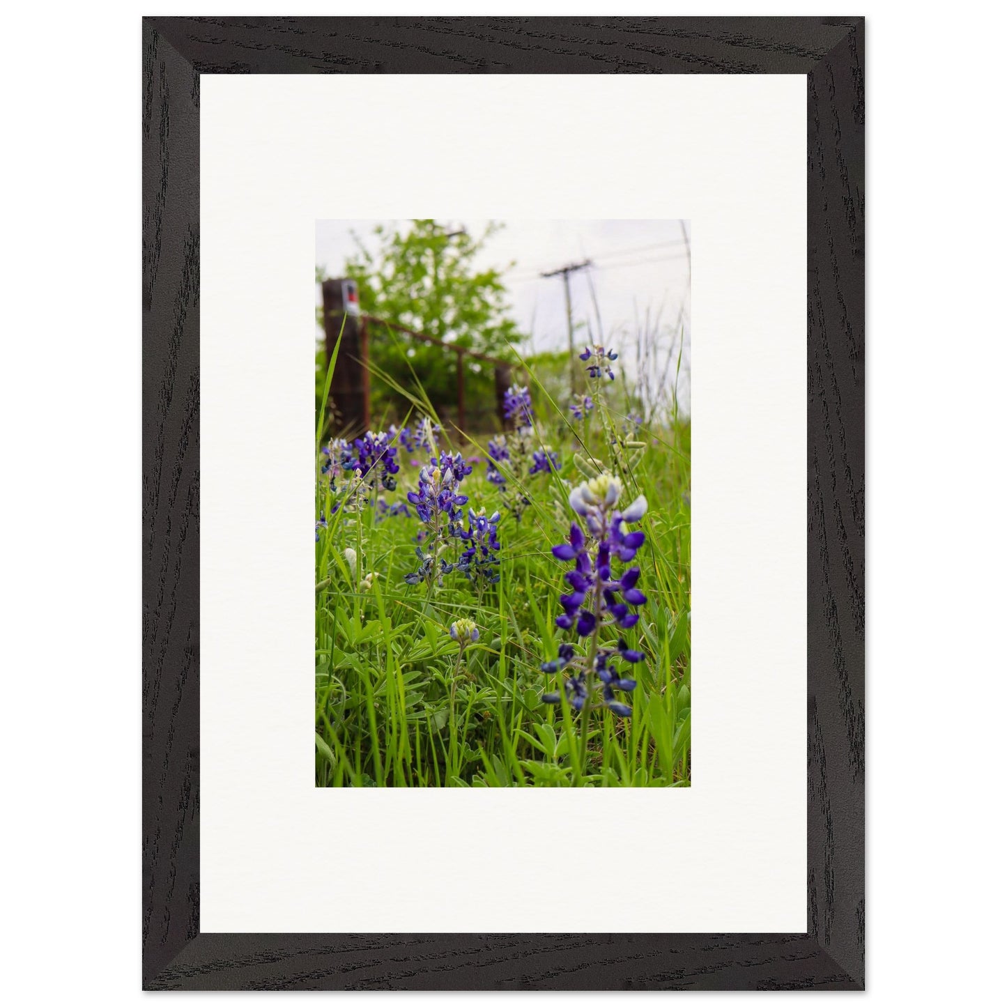 90f7c64b-10e9-48e0-8314-2869563e6302