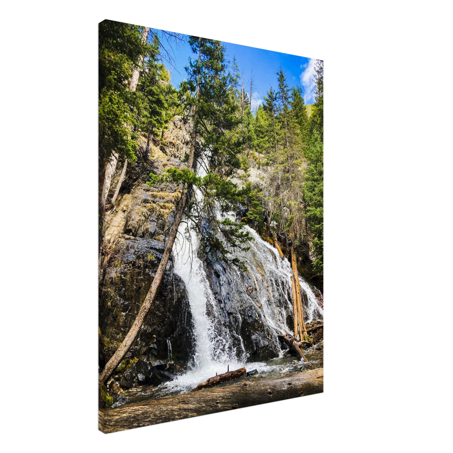 914e82e4-43ef-46c4-93f2-f483a2fe6191