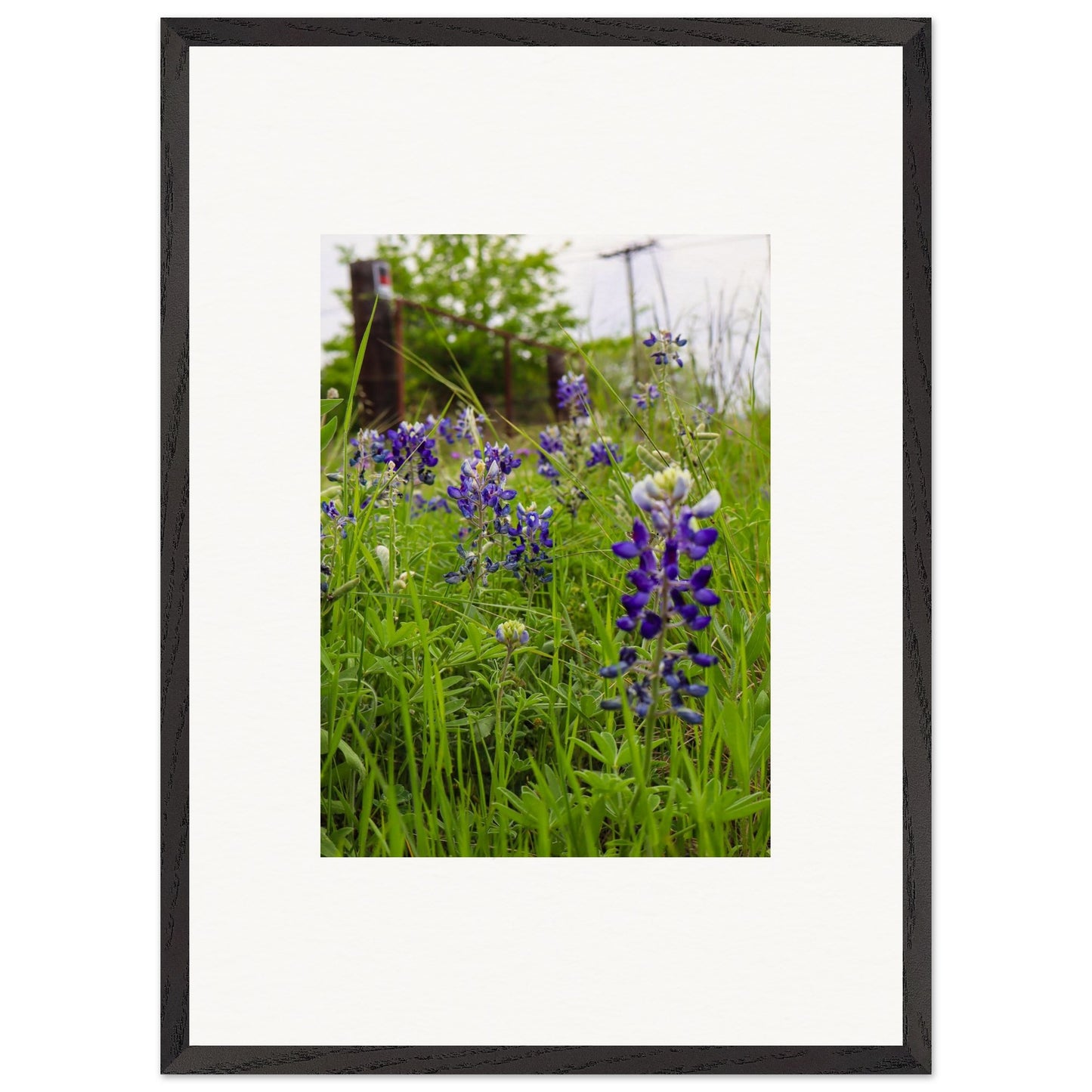 95a1c362-5c3c-4118-96f1-7d9fe1b3c7c8