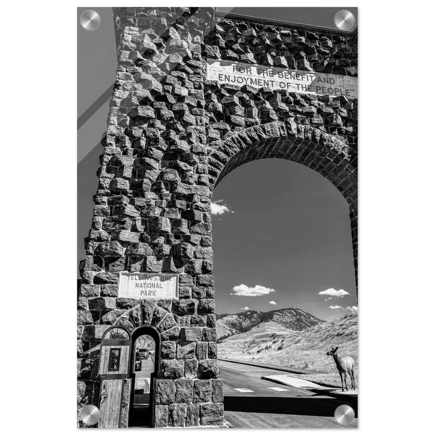 97bf8526-601a-4140-84c2-2eafe7aa8c6e