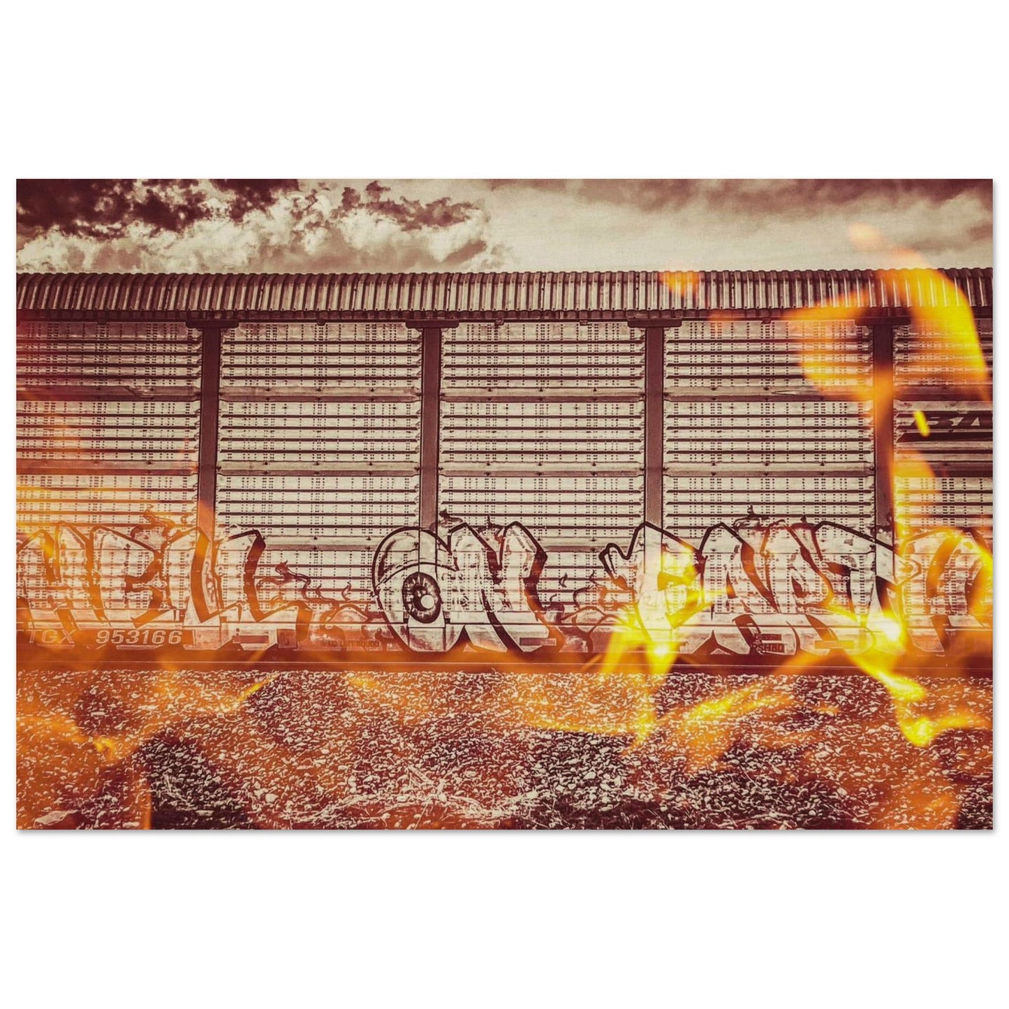 9a19efa9-4e50-41a2-8475-c907735665d5