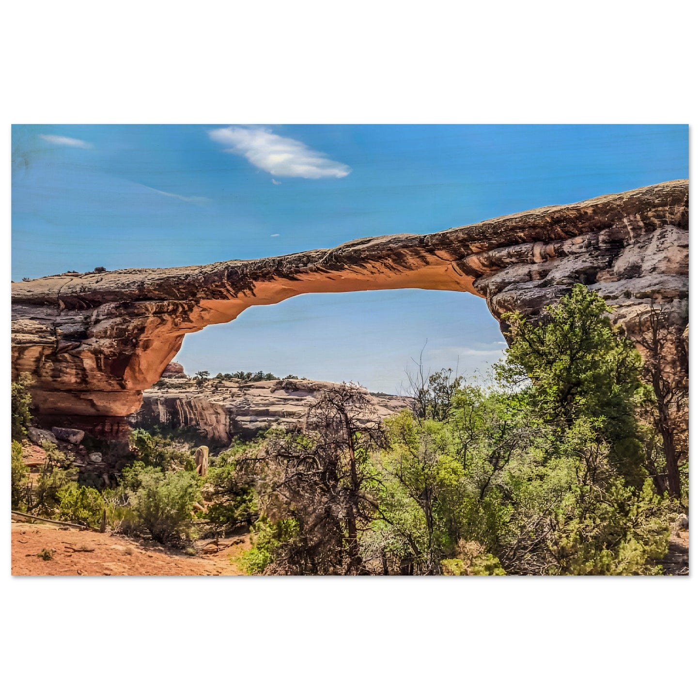 9a72b758-dfc2-4cc3-a61d-d34cfd916783