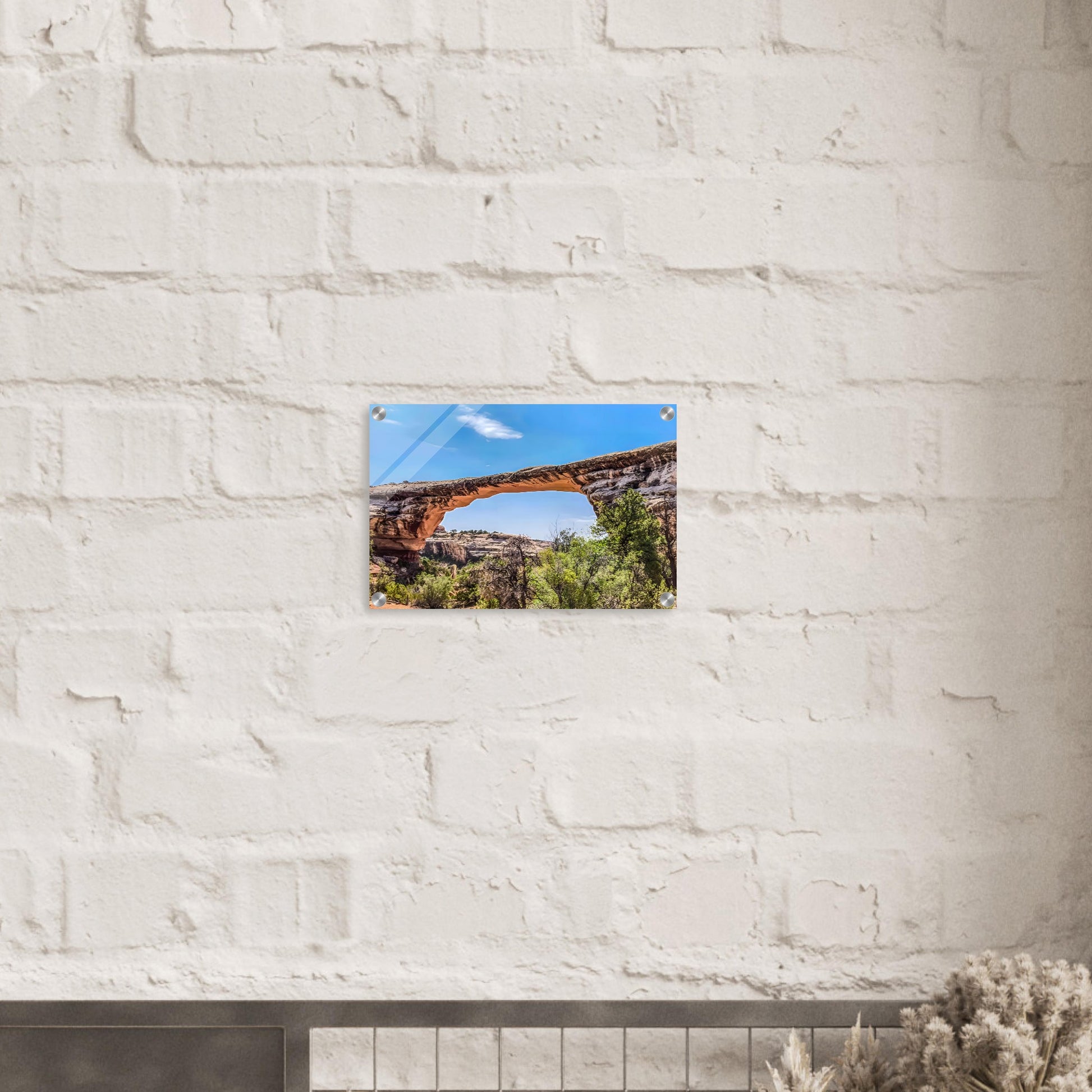 9a74bb22-db89-465a-8a56-bd80b5f8d987