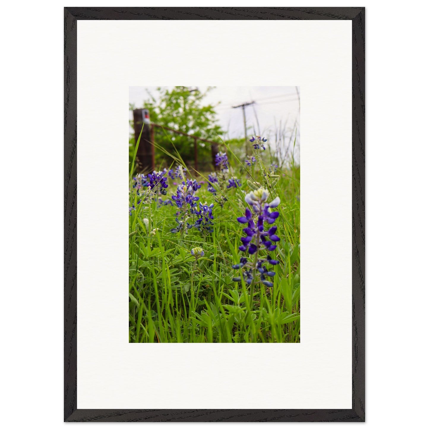 9bcc2d79-9339-4a67-b10e-64d2ac74658f