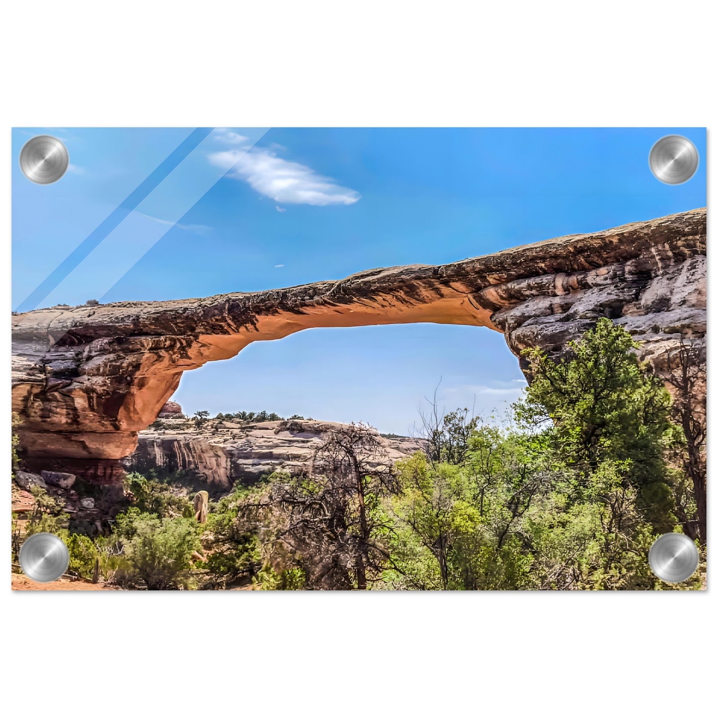 9d4e6eb9-c258-4cdf-aff3-52cd511b3091