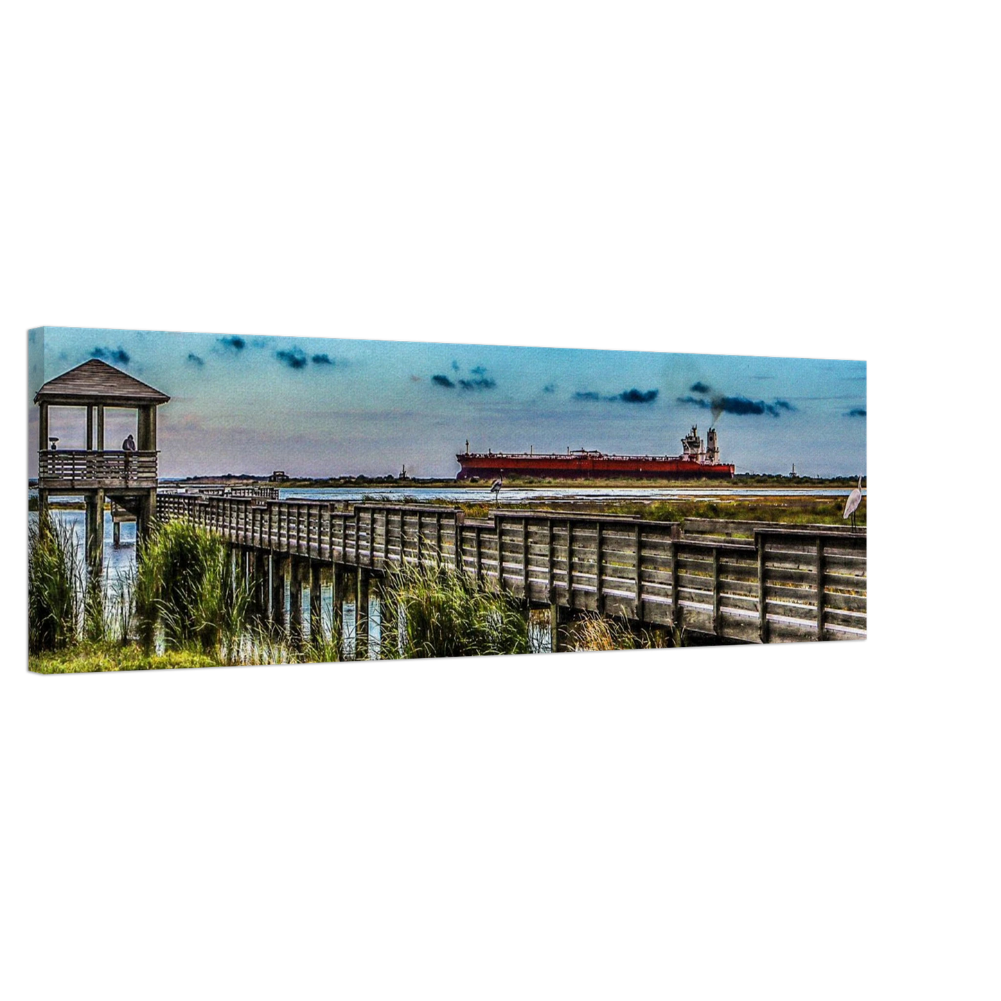 Leonabelle Turnbull Birding Center; Port Aransas, Texas Canvas Prints