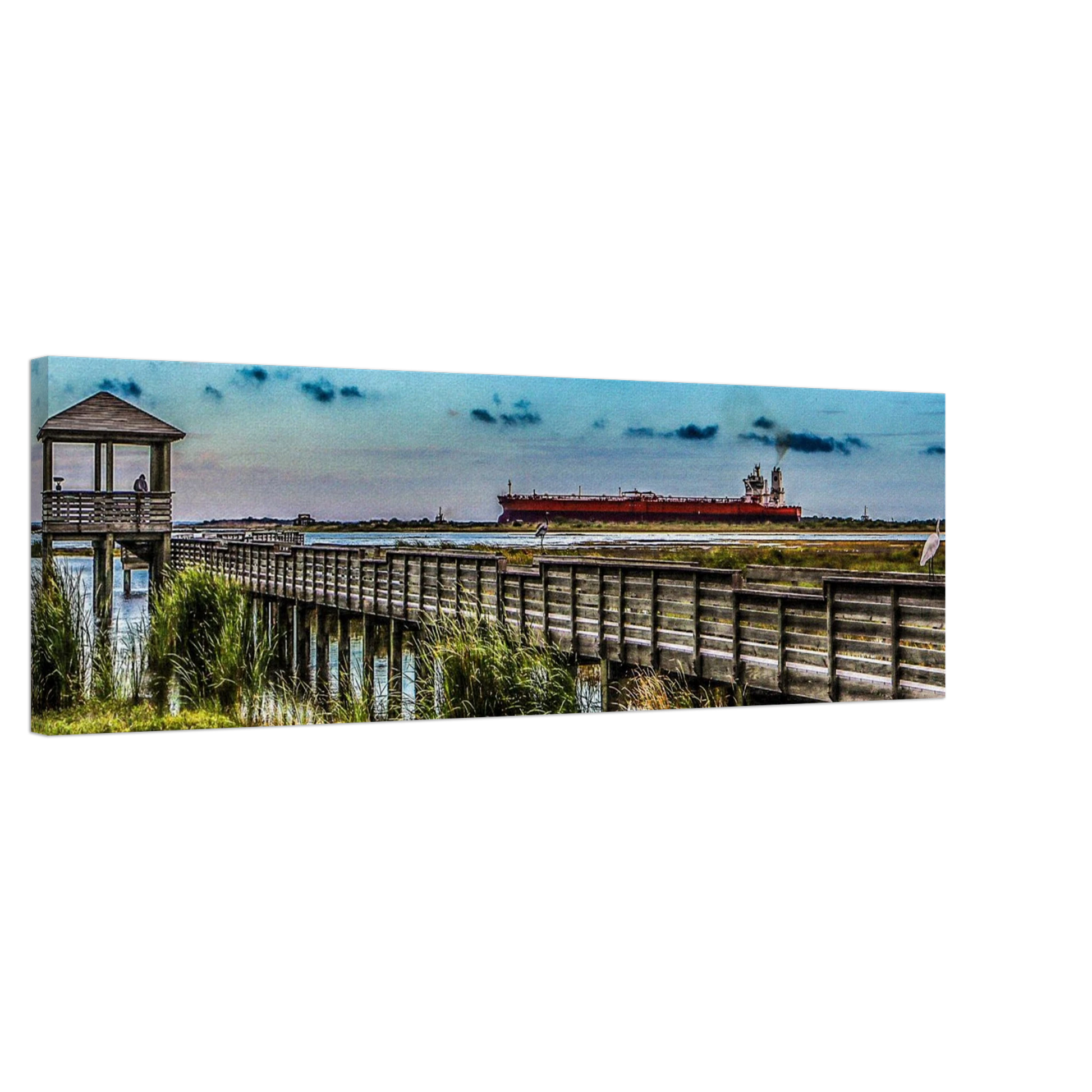 Leonabelle Turnbull Birding Center; Port Aransas, Texas Canvas Prints