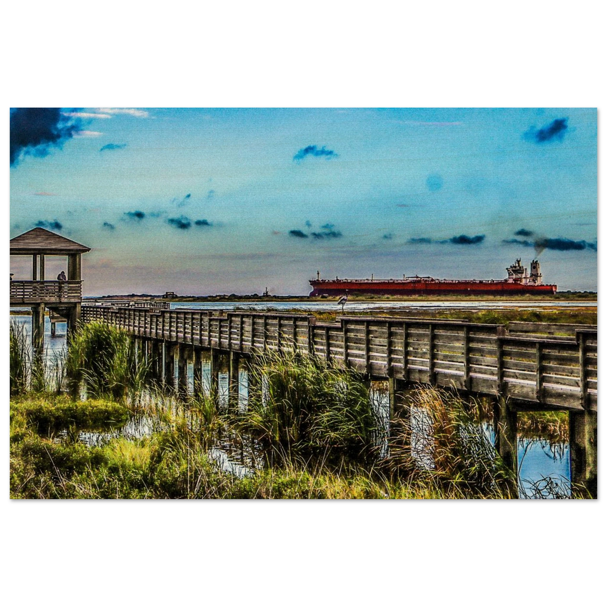 Leonabelle Turnbull Birding Center; Port Aransas, Texas Wood Prints