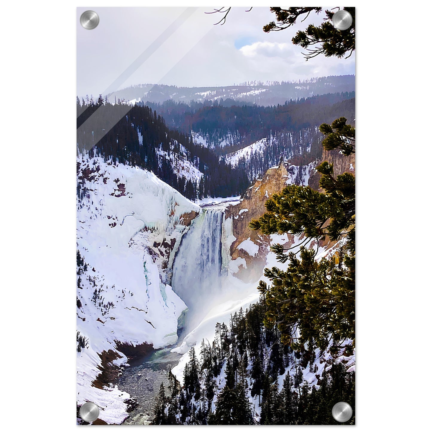 Lower Falls; Yellowstone National Park, Wyoming Acrylic Prints