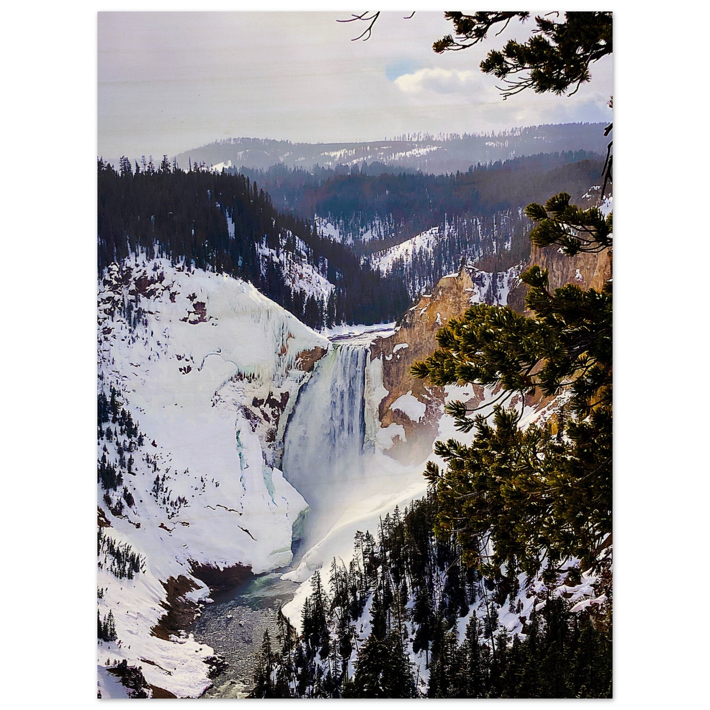 Lower Falls; Yellowstone National Park, Wyoming Wood Prints