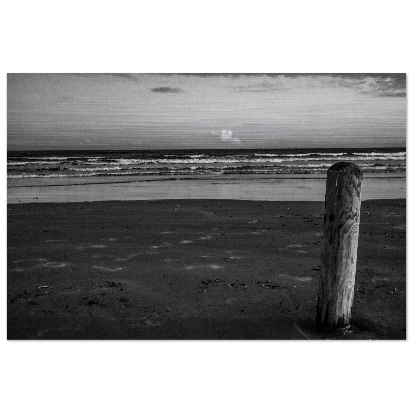 Ocean Beach W/ Wooden Post; Port Aransas, Texas Black & White Brushed Aluminum Prints
