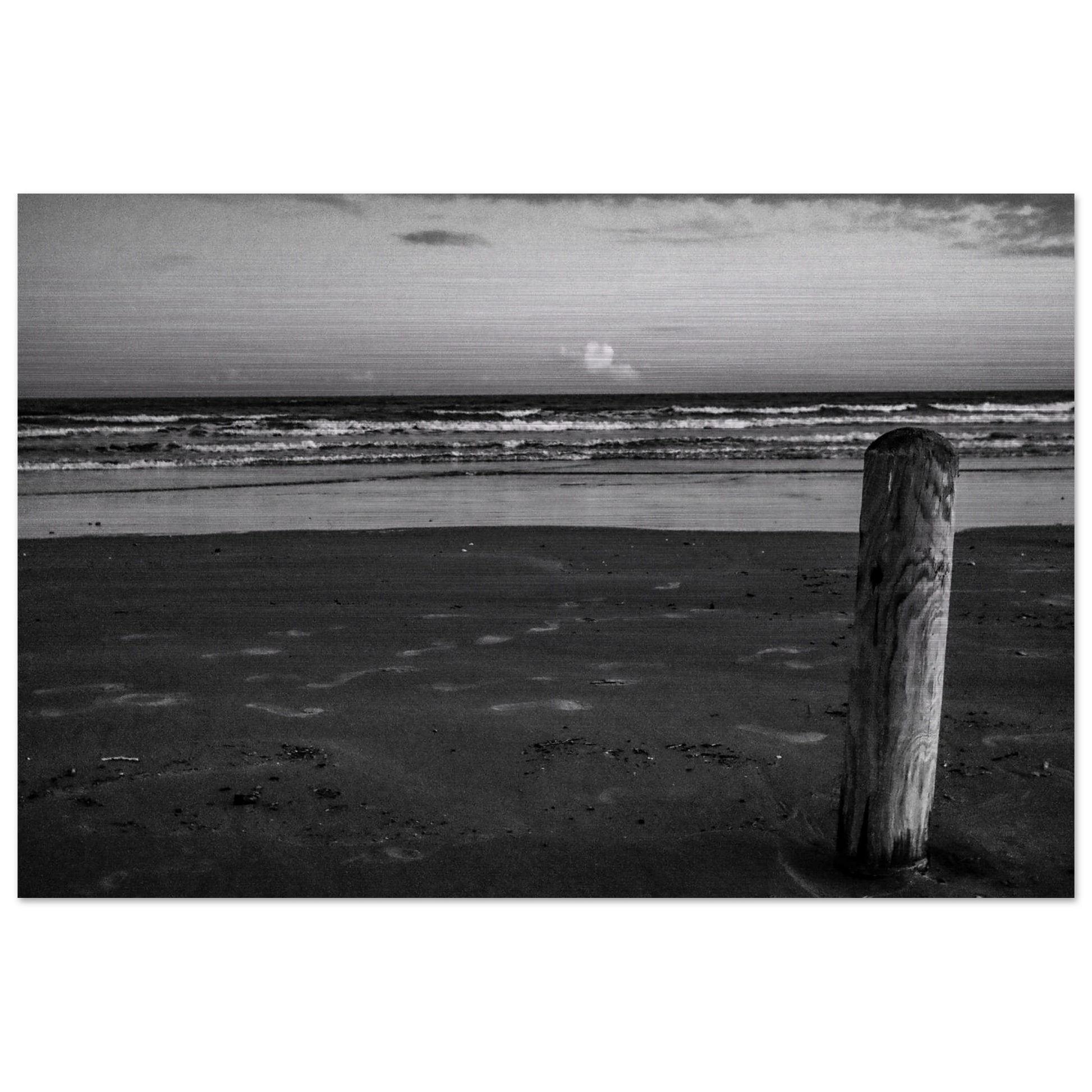 Ocean Beach W/ Wooden Post; Port Aransas, Texas Black & White Brushed Aluminum Prints