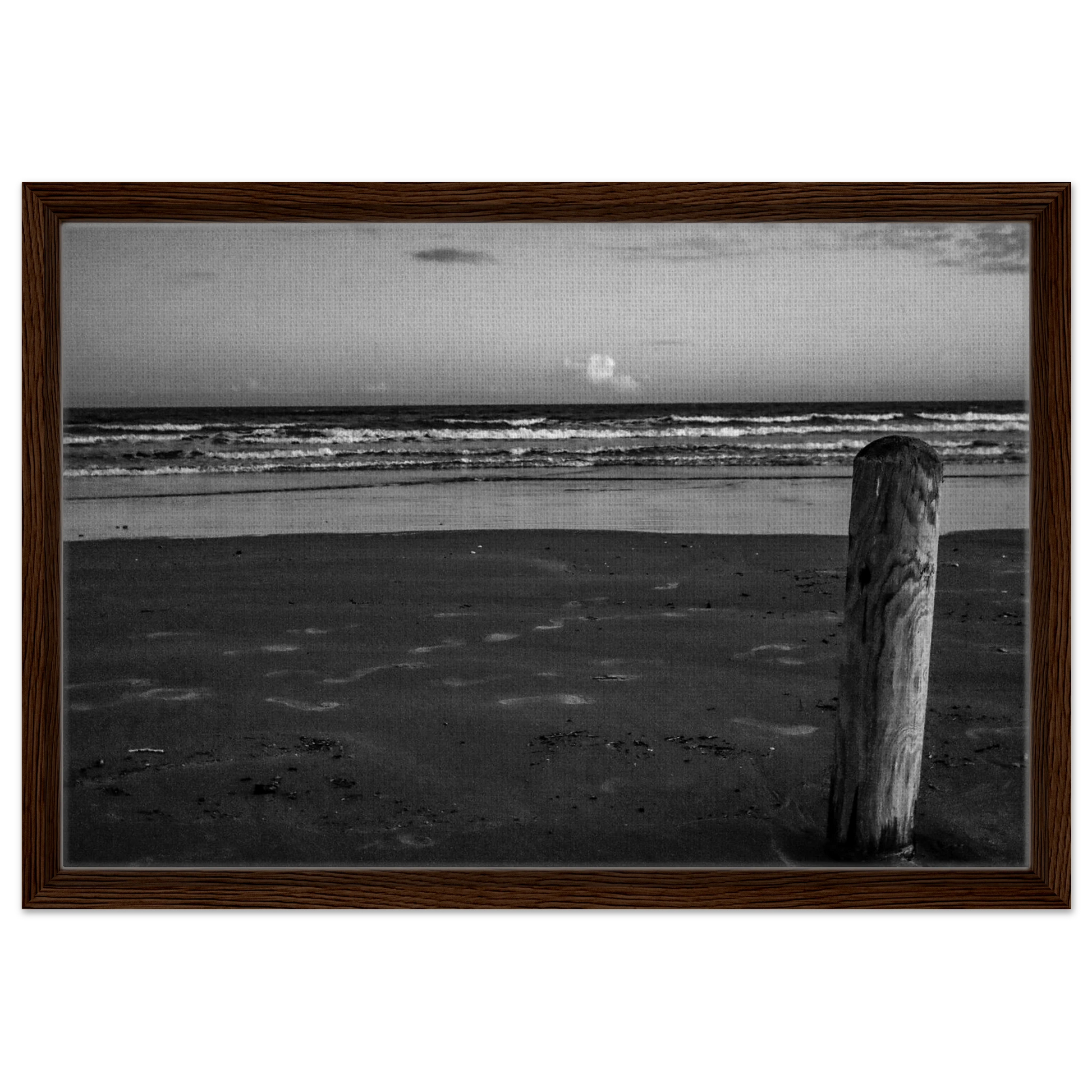 Ocean Beach W/ Wooden Post; Port Aransas, Texas Black & White Framed Canvas Prints