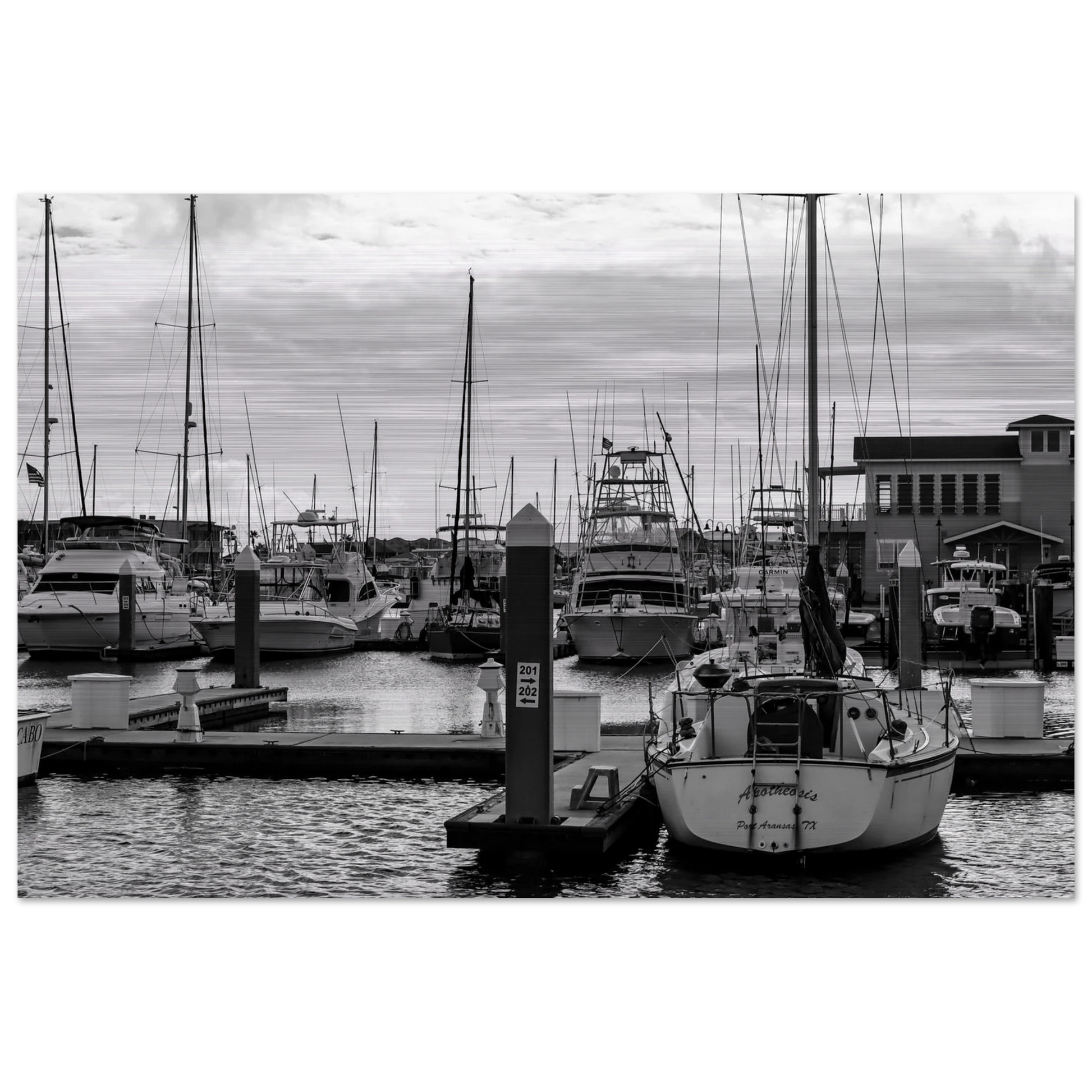 Ocean Marina; Port Aransas, Texas Black & White Brushed Aluminum Prints