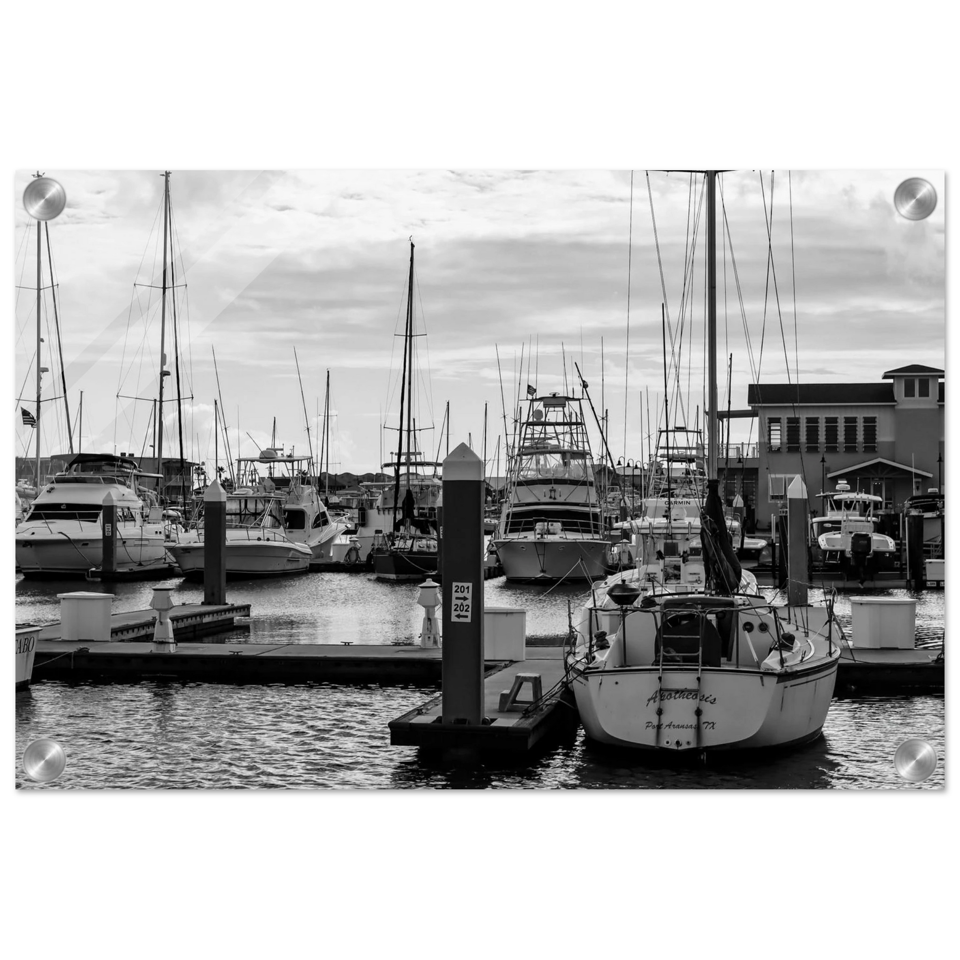 Ocean Marina; Port Aransas, Texas Black & White Acrylic Prints