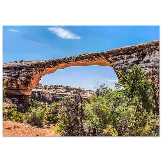 Natural rock arch with trees and clear sky