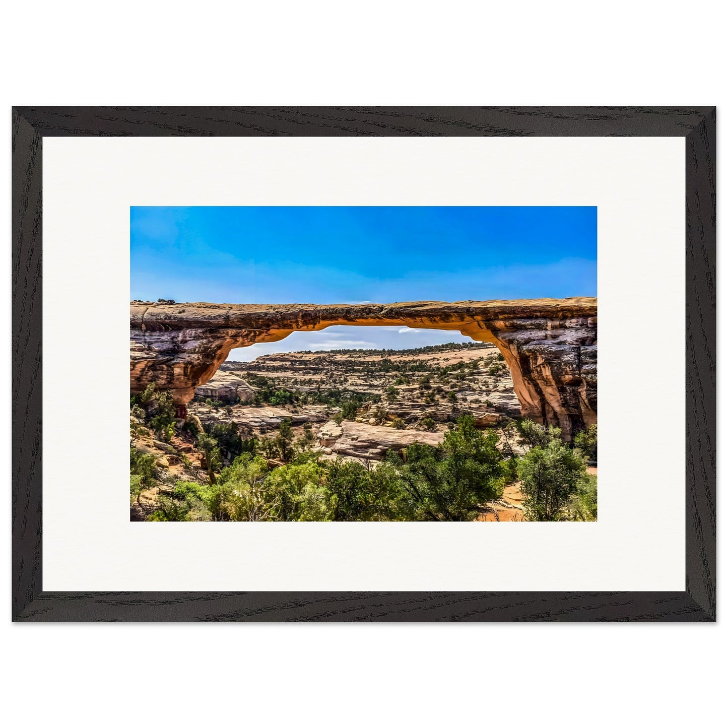 Owachomo Bridge; Natural Bridges National Monument, Utah Wooden Framed Prints