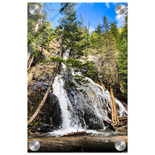 Pine Creek Falls; Pine Creek Trail, Paradise Valley, Montana Acrylic Print Communitea Books James Bonner
