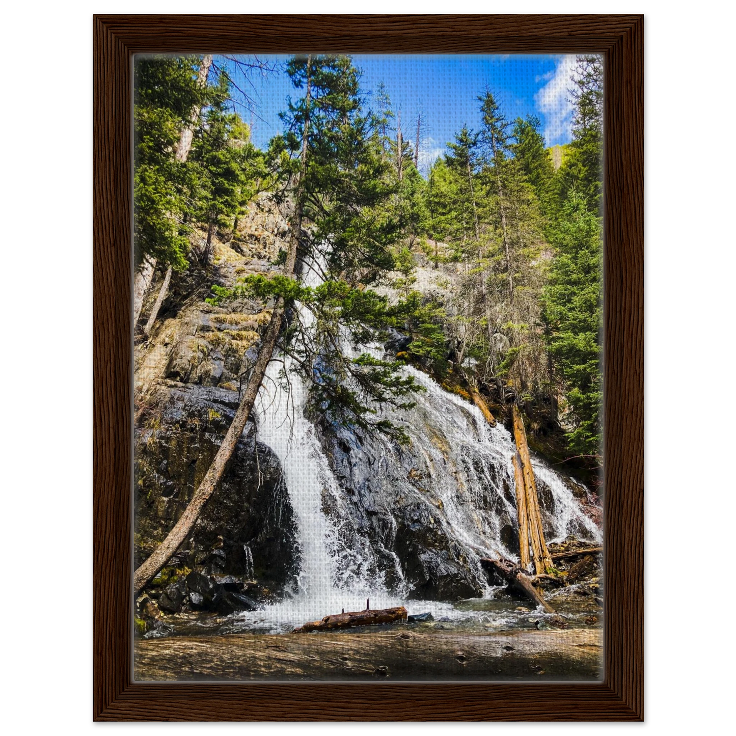 Pine Creek Falls; Pine Creek Trail; Paradise Valley, Montana Canvas Framed Prints