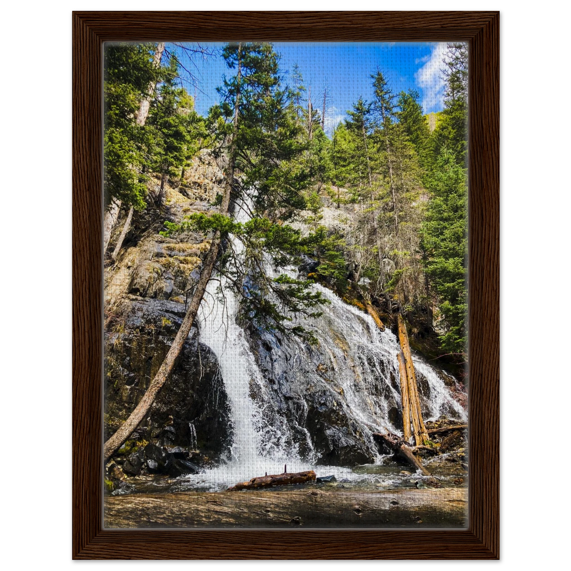 Pine Creek Falls; Pine Creek Trail; Paradise Valley, Montana Canvas Framed Prints