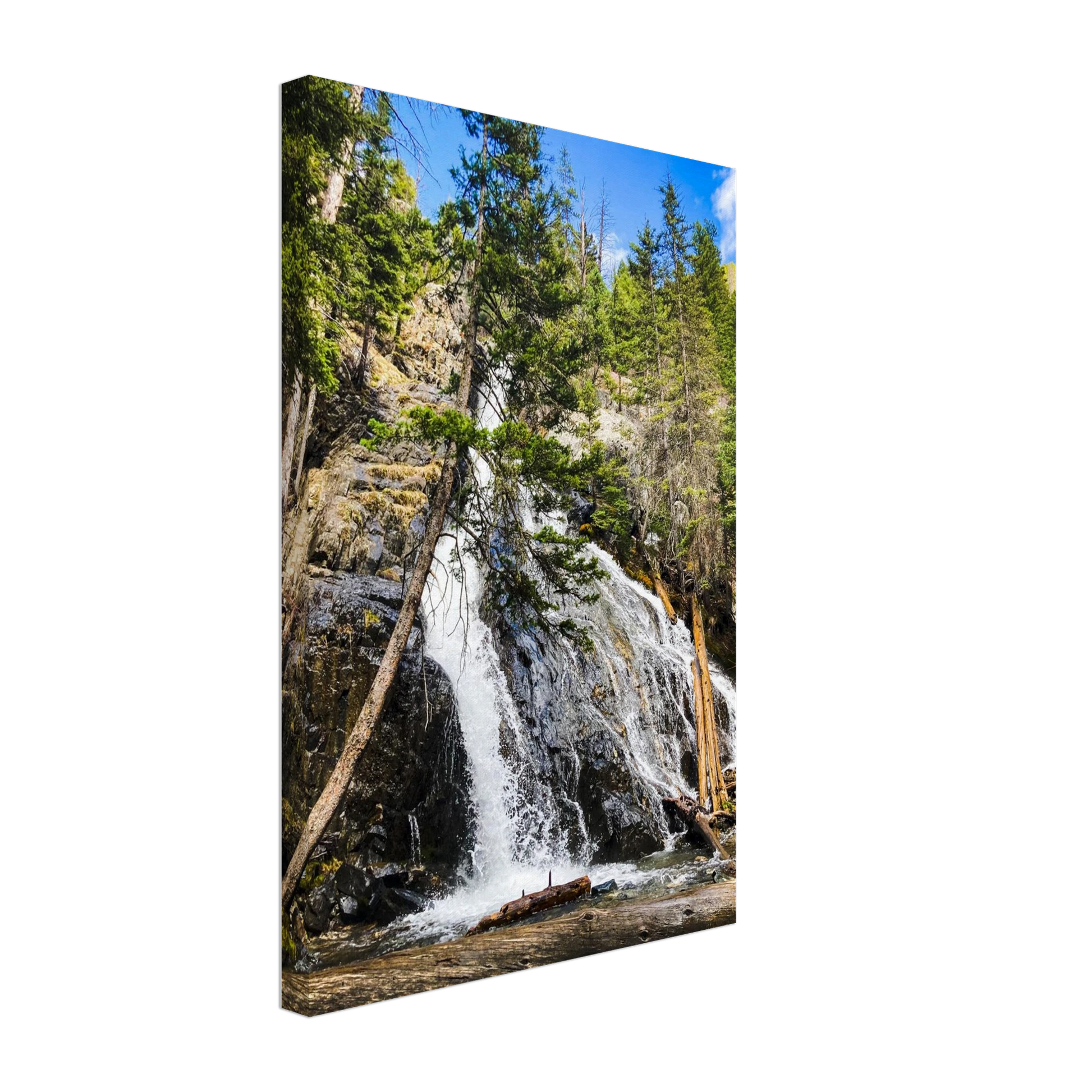 Pine Creek Falls; Pine Creek Trail; Paradise Valley, Montana Canvas Prints