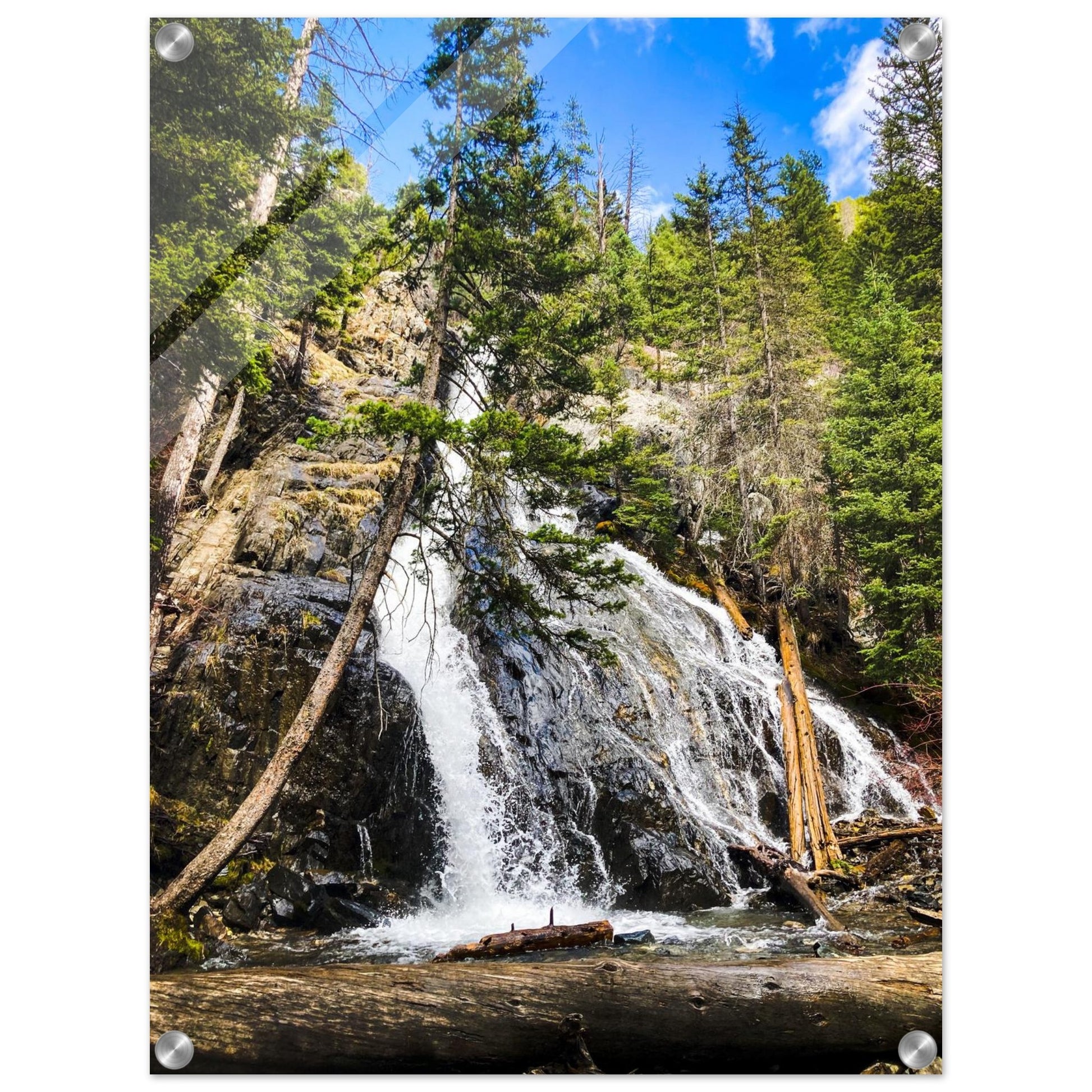 Pine Creek Falls; Pine Creek Trail; Paradise Valley, Montana Acrylic Prints