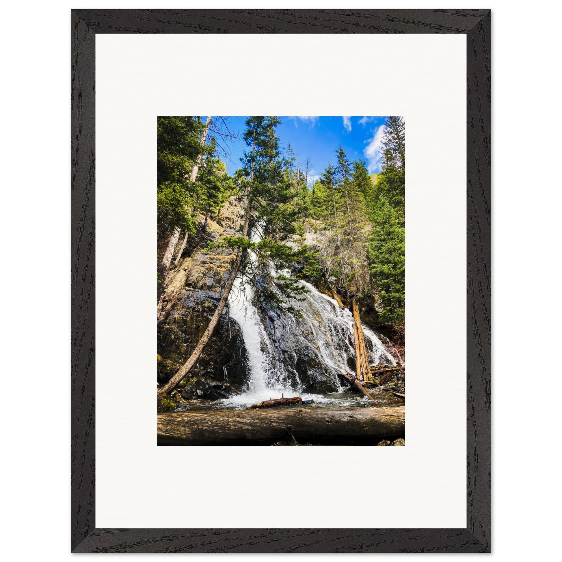Pine Creek Falls; Pine Creek Trail; Paradise Valley, Montana Wooden Framed Prints